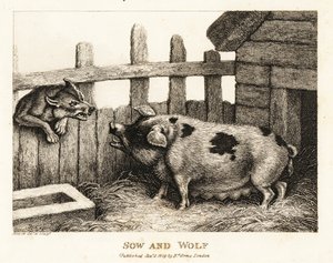 Eine große Sau im Schweinestall knurrt einen Wolf an. 1811 (Radierung)