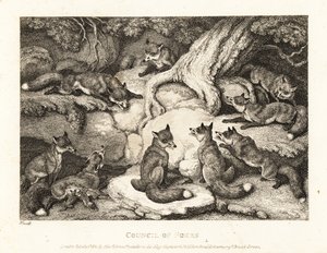 Ein Rudel Füchse trifft sich im Wald. 1811 (Radierung)