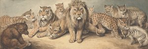 Tiere der Katzenfamilie, mit einem Bären und Füchsen von Samuel Howitt