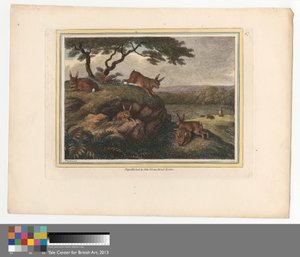 Das Kaninchen von Samuel Howitt
