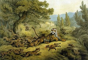 Tiger, gejagt von Wildhunden von Samuel Howitt