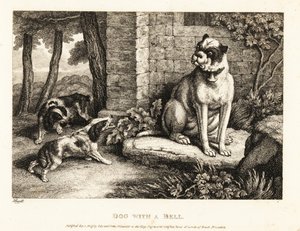 Zwei Spaniels bellen einen Bulldogge mit einer Glocke am Halsband an. 1811 (Radierung)