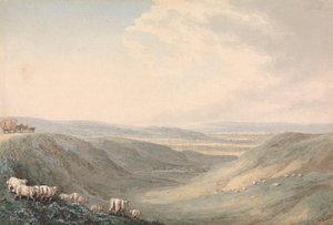 Tal-Landschaft mit Schafen