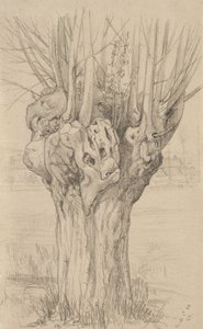 Knotiger Baum, 1884