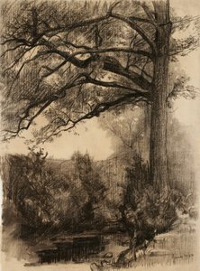 Landschaft mit großem Baum, 1884 von Samuel Isham