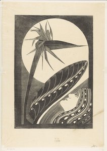 Verblühte Strelitzia von Samuel Jessurun de Mesquita
