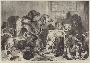 Heim für verlorene und hungernde Hunde, Hollingsworth-Straße, Islington