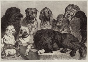 Preishunde auf der Hundeausstellung im Crystal Palace