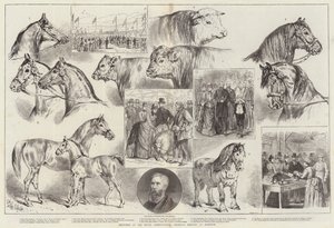 Skizzen bei der Versammlung der Royal Agricultural Society in Norwich von Samuel John Carter