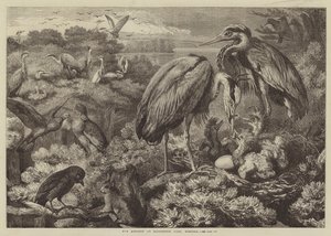 Die Reiherkolonie im Didlington Park, Norfolk von Samuel John Carter