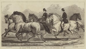 Die Pferdeschau in der Landwirtschaftshalle, Islington, Parade der Preispferde, Traber und Hacks von Samuel John Carter
