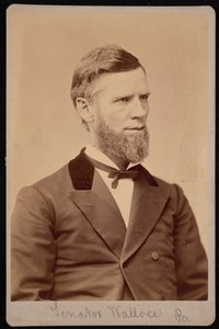 Porträt von William Andrew Wallace 1827-1896, zwischen 1876 und 1880