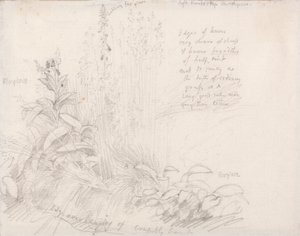 Fingerhüte von Samuel Palmer