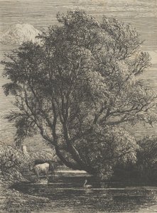 Die Weide, 1850