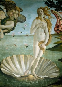 Die Geburt der Venus (Detail)