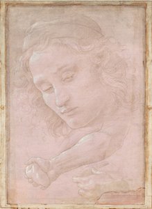Kopf eines Jugendlichen mit Mütze; ein rechter Unterarm mit einer Hand, die einen Stein hält; und eine linke Hand, die ein Tuch hält von Sandro Botticelli