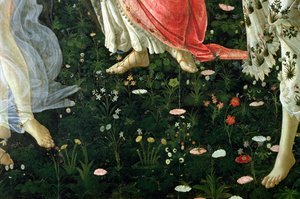 Primavera: Detail der Blumen