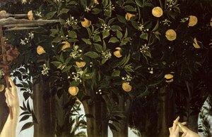 Primavera, Detail des Orangenbaums