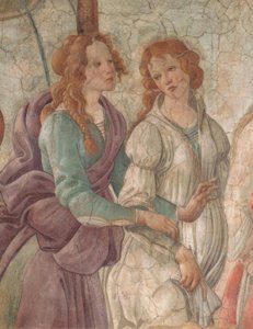 Venus und die Grazien, die einem Mädchen Geschenke anbieten, 1480–83