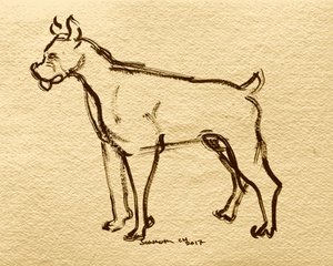 Boxerhund Skizze