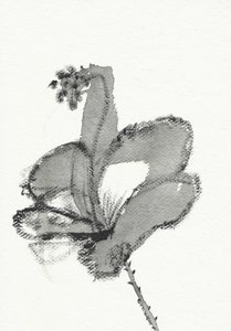Monochrome Blumenstudie von Santhosh ch