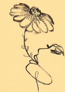 Organische Blumenskizze