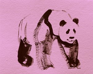 Rosa Panda-Pinselstriche
