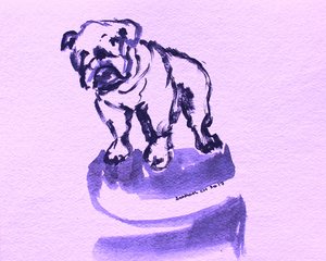 Lila Bulldogge Skizze