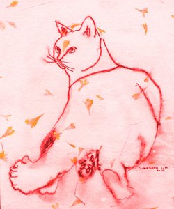 Rote Katze schaut zurück