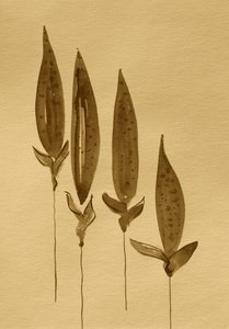 Sepia-Aquarellpflanzen