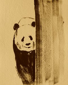 Schüchterner Panda schaut hervor