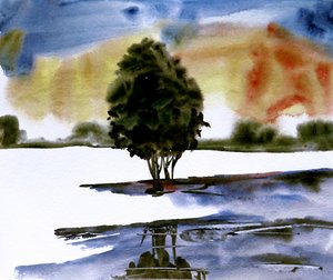 Sonnenuntergang Baumreflexion