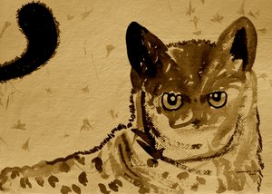 Wilder Katzengriff