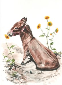 Stop and Smell the Flowers, 2024 von Sarah Drummond