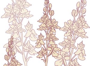 Orchidee von Sarah Hough