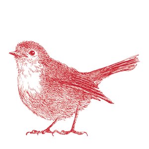 Rotkehlchen von Sarah Hough