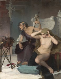 Die Bacidae