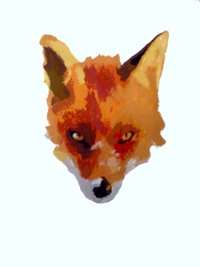 Fuchsgesicht, 2013 von Sarah Thompson Engels