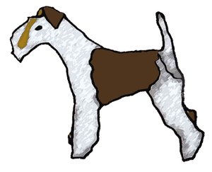 Foxterrier
