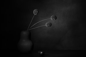 Dunkle Blumenstille von Saskia Dingemans