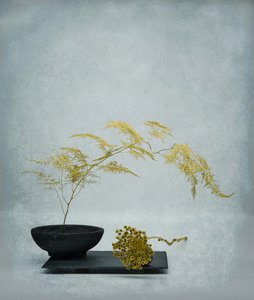 Goldenes Ikebana Stillleben von Saskia Dingemans