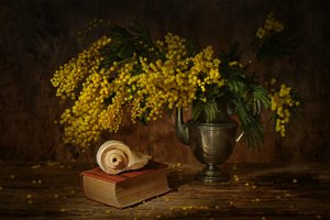 Goldenes Mimosen-Stillleben