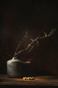 Stimmungsvolles botanisches Stillleben