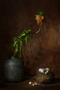 Stimmungsvolles Blumennest