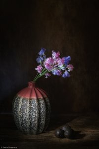 Duftwicken-Stillleben von Saskia Dingemans