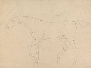 Ein Pferd von Sawrey Gilpin