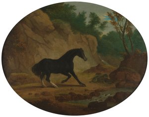 Ein Pferd erschreckt durch eine Schlange