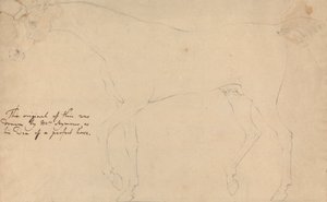 Ein perfektes Pferd von Sawrey Gilpin