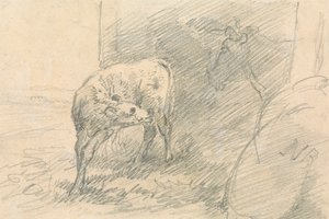 Kalb, mit Kopf einer Kuh von Sawrey Gilpin