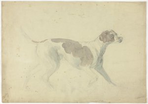 Fuchshund (recto); Skizzen von Pferd und Reiter (verso) von Sawrey Gilpin
